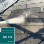 屋根塗装の本当の価値、ご存知ですか？ の施工写真